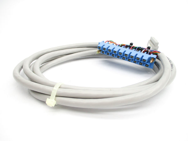 ALLEN BRADLEY 1492-CABLE025B SER. C NSNP