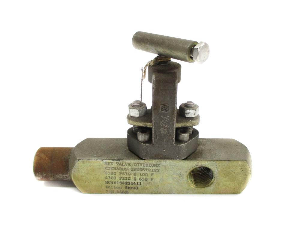 RICHARDS INDUSTRIES HG461S4231411 4300/6580PSIG UNMP