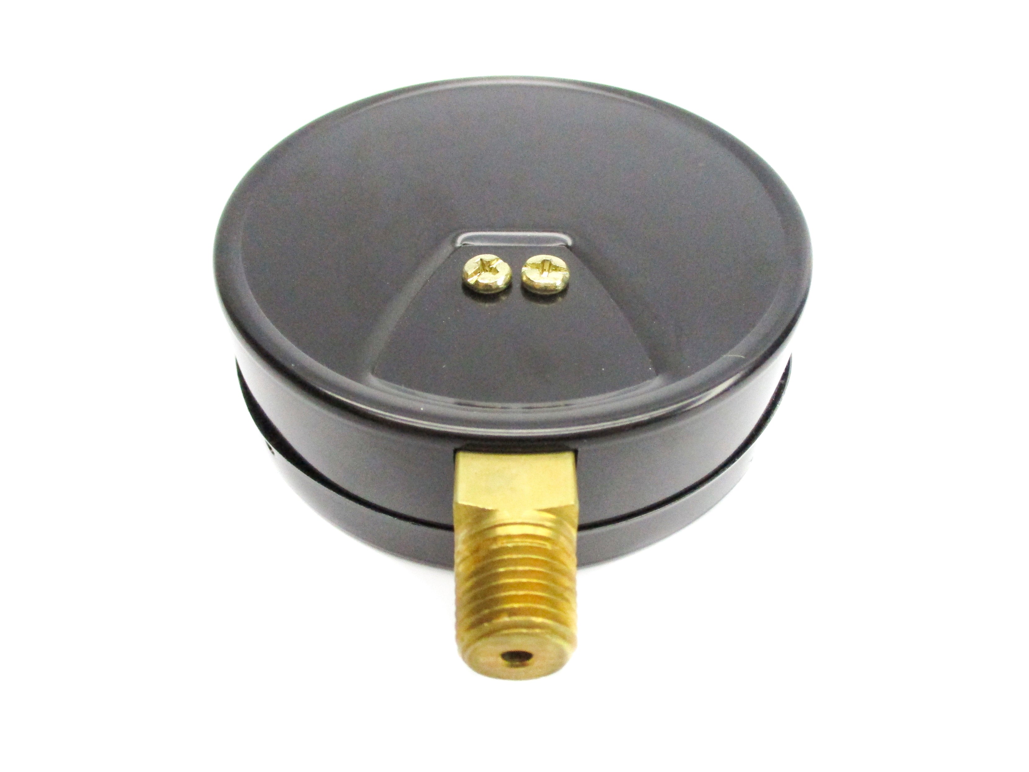 AMETEK 168536 30PSI NSMP