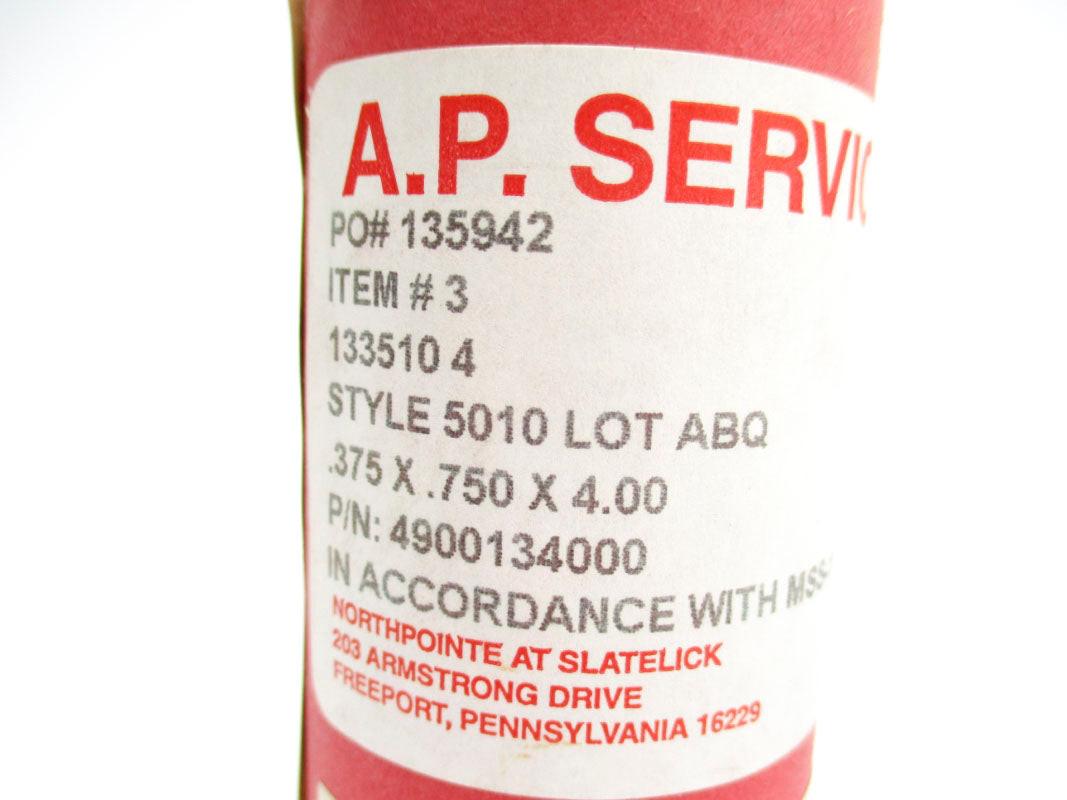 AP SERVICES 4900134000 NSMP