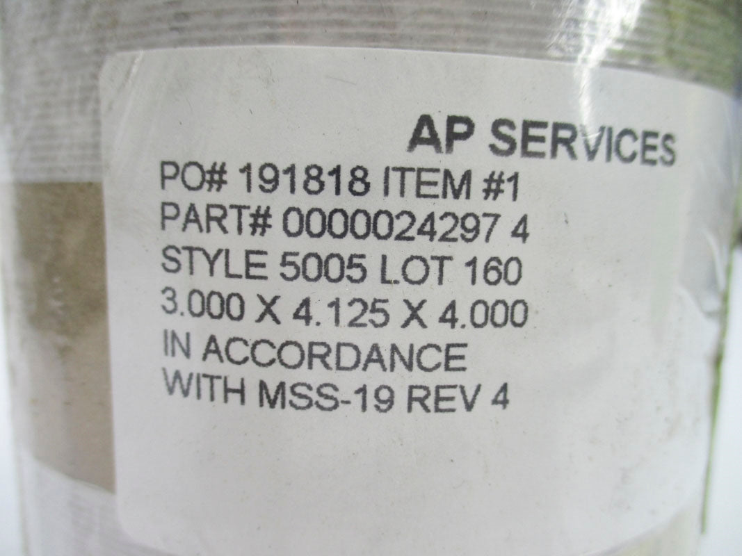 AP SERVICES 00000242974 NSMP