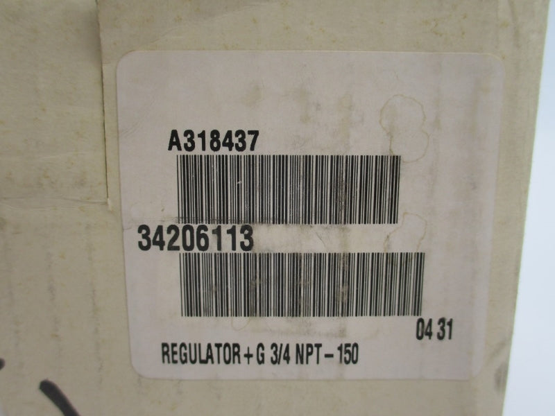 ASCO 34206113 3/4" NSMP