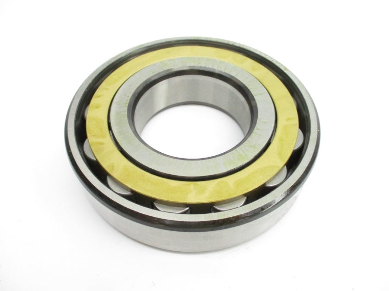 SKF N313ECM NSMP