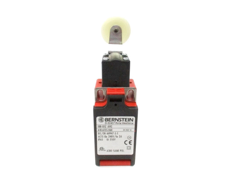 BERNSTEIN 188-U1ZAHG 618.6135.060 240VAC 3A NSNP