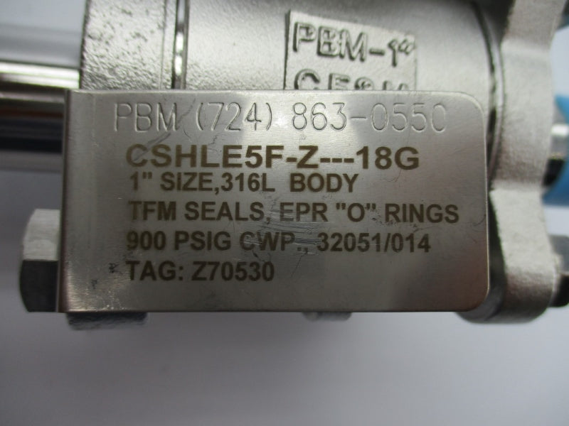 PBM PBM-1" CF3M 4S09 CSHLE5F-Z---18G 900PSI 1" NSNP