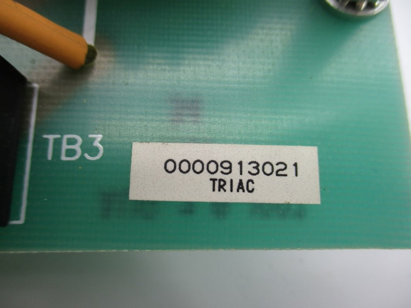 TRIAC 0000913021 NSNP