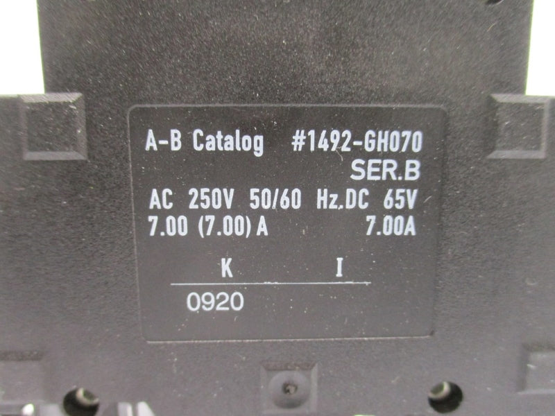 ALLEN BRADLEY 1492-GH070 SER. B 250VAC 7.0A NSMP