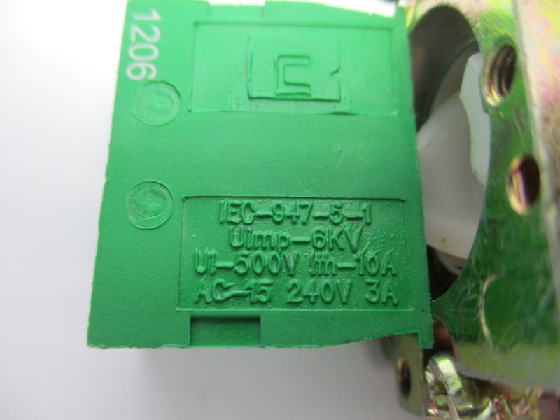 RAAS SWITCH W/RB2-BE-101 240V 10A NSNP