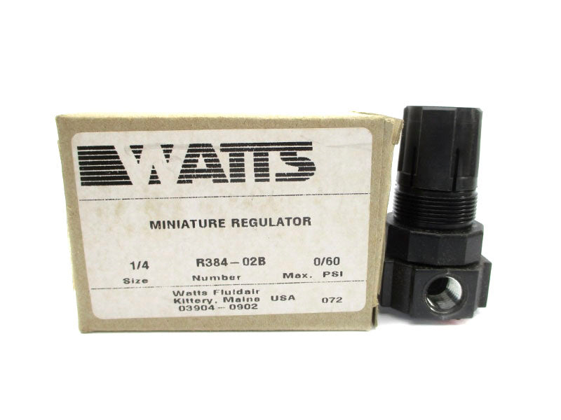 WATTS R384-02B 0/60PSI 1/4" NSMP