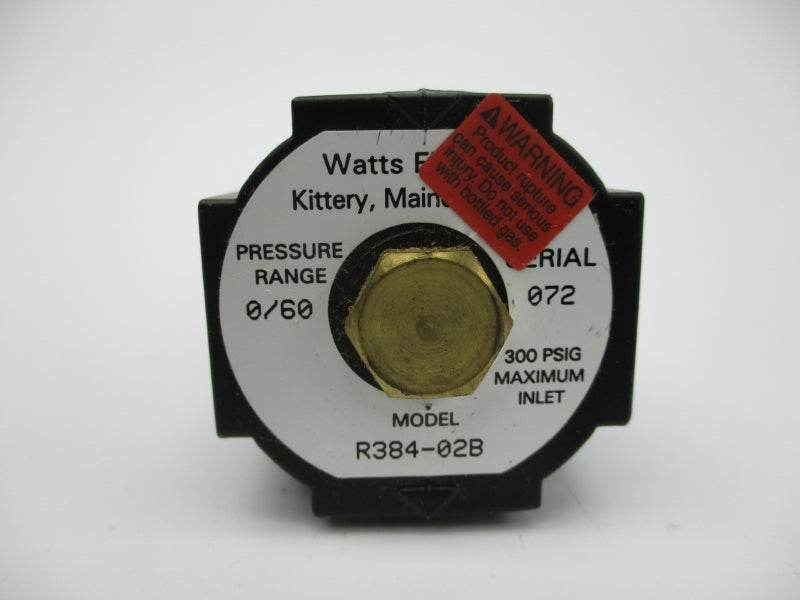 WATTS R384-02B 0/60PSI 1/4" NSMP