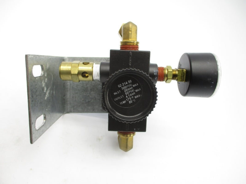 JOHNSON CONTROLS A-4000-138 300PSI 175'F 3/8" NSMP