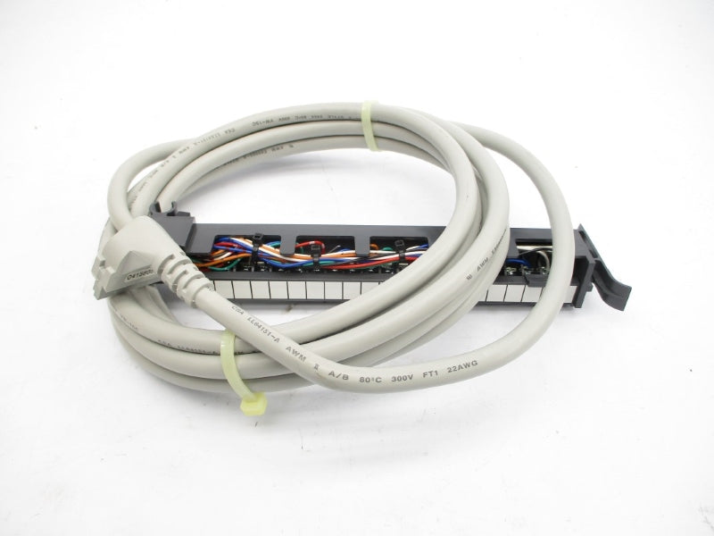 ALLEN BRADLEY 1492-CABLE030F SER. C (BR/WH) NSMP