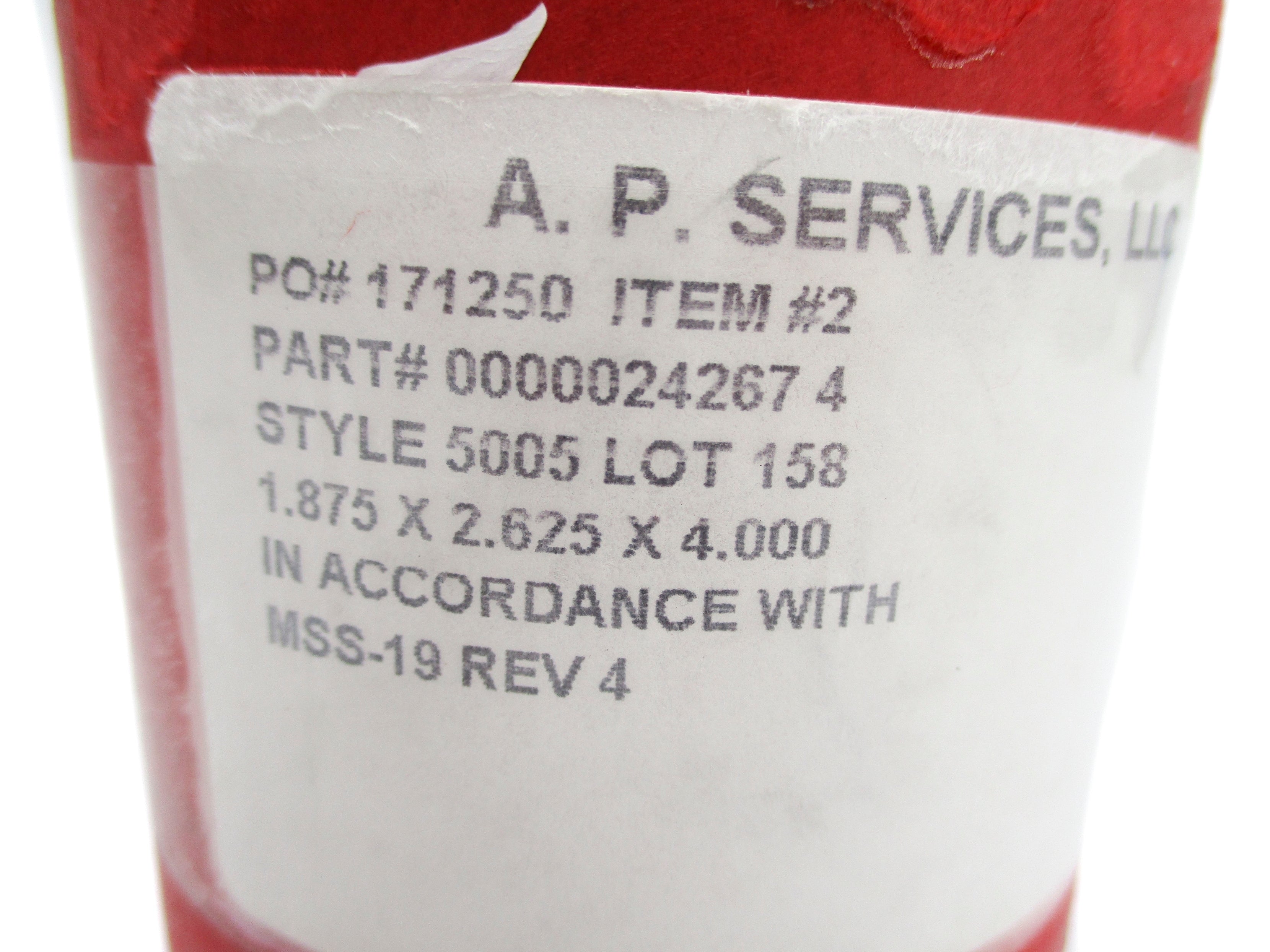 AP SERVICES 00000242674 NSMP