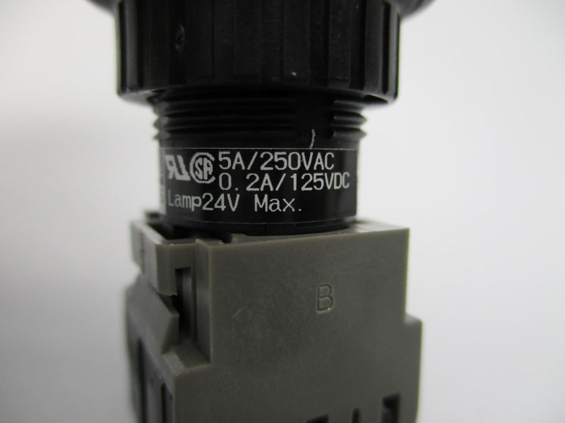 FUJI ELECTRIC AH165-2PL3W22E3 250VAC 5A NSMP