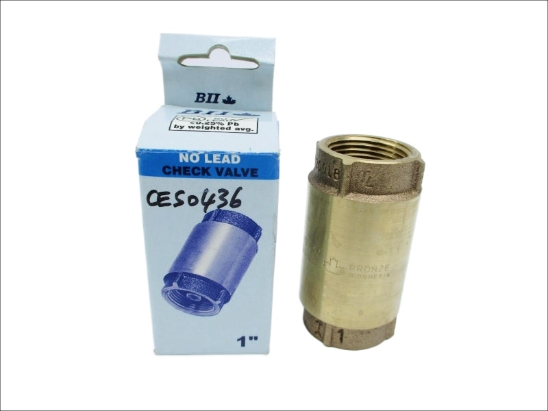 BII 17CV100 1" NSMP