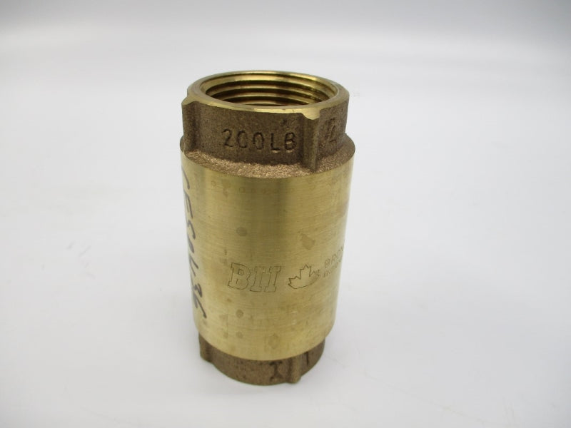 BII 17CV100 1" NSMP