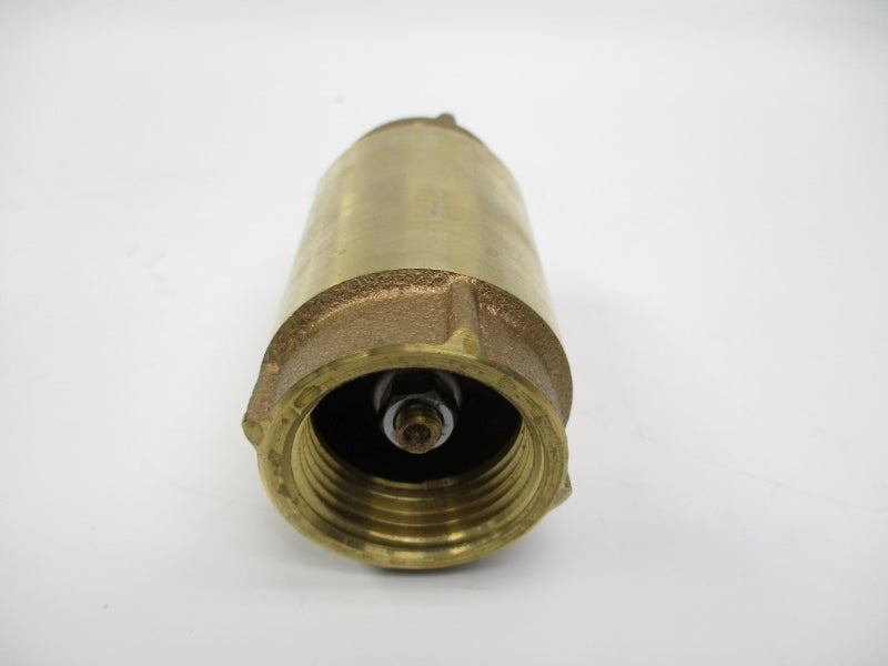 BII 17CV100 1" NSMP