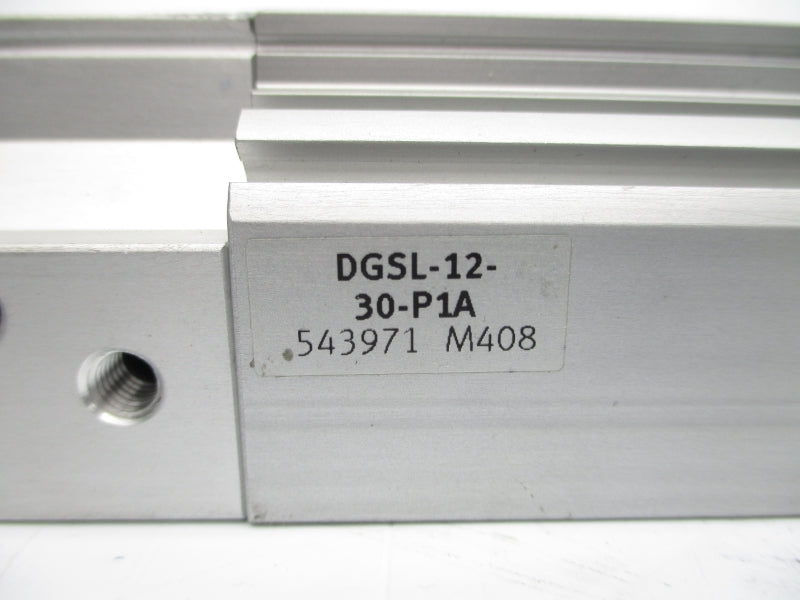FESTO DGSL-12-30-P1A 543971 NSNP