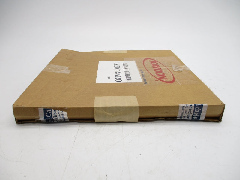 KAYDON K30013ARO NSFS