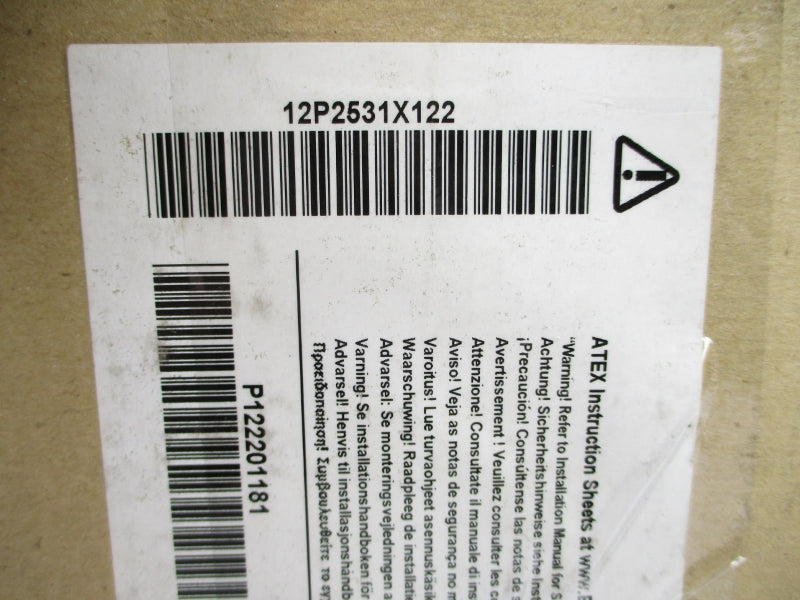 DELTAV 12P2531X122 KJ3221X1-BA1 24VDC NSMP