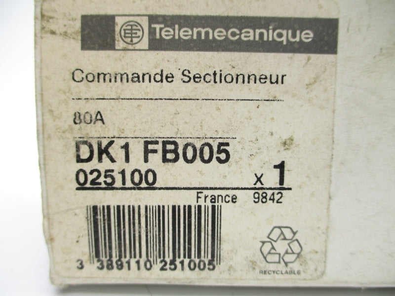 TELEMECANIQUE DK1FB005 80A NSMP