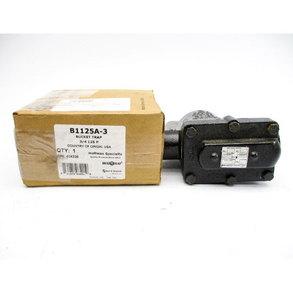 BELL&GOSSETT B1125A-3 404336 250PSI 3/4" NSMP