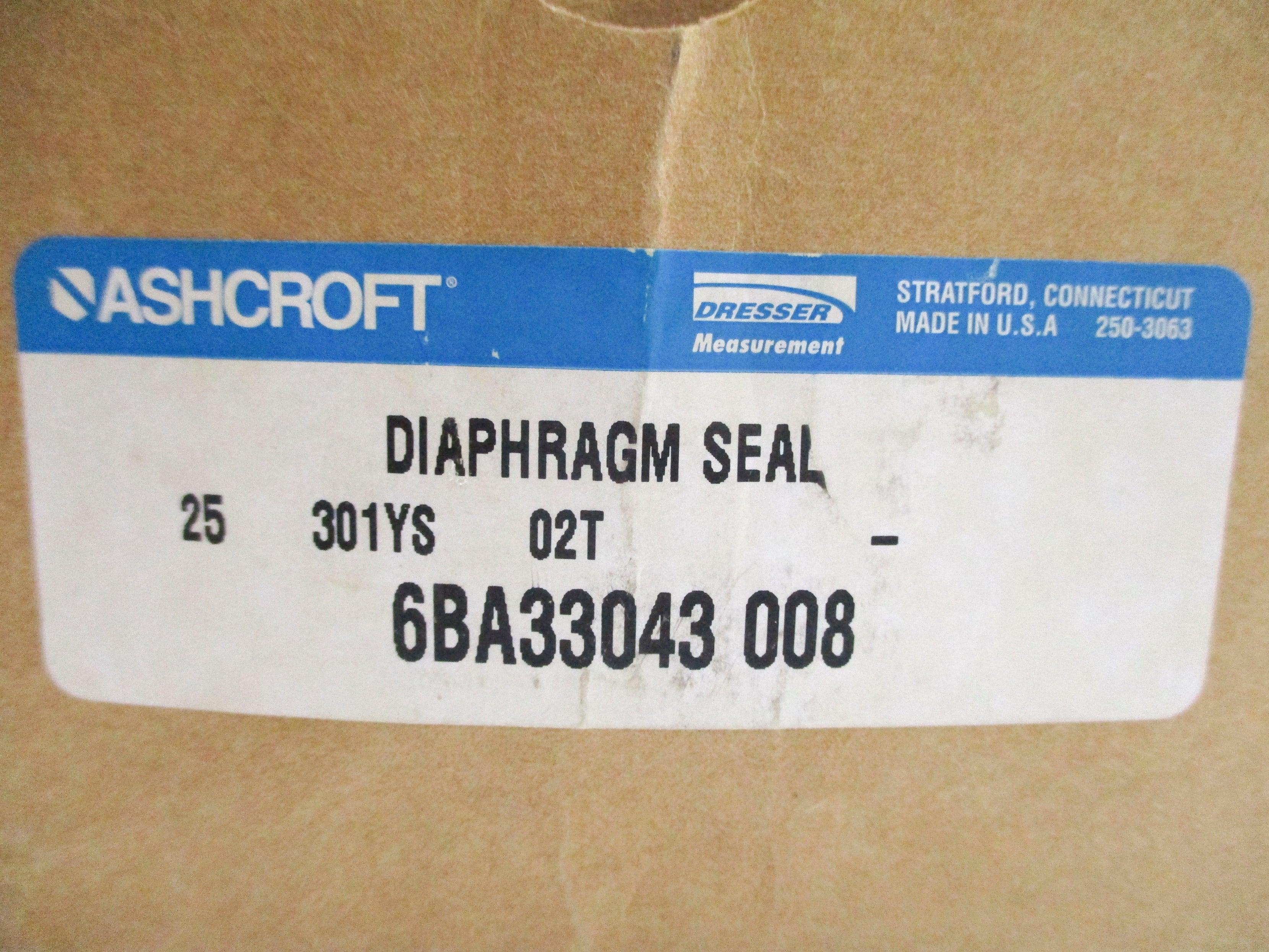 ASHCROFT 25301YS02T NSMP