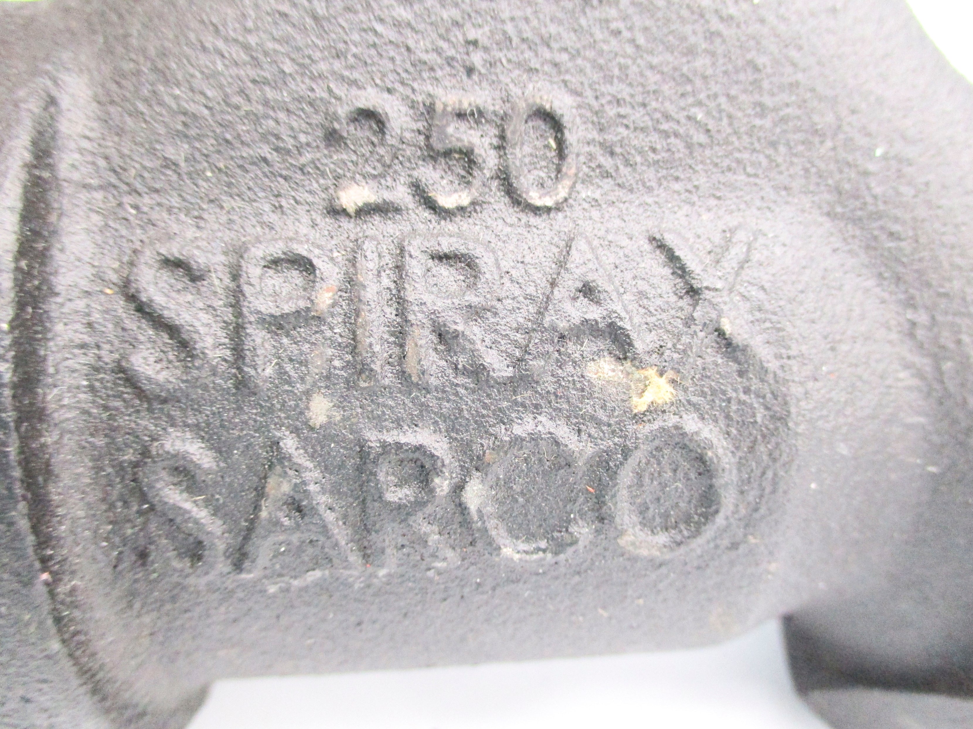 SPIRAX SARCO 250 1" NSNP