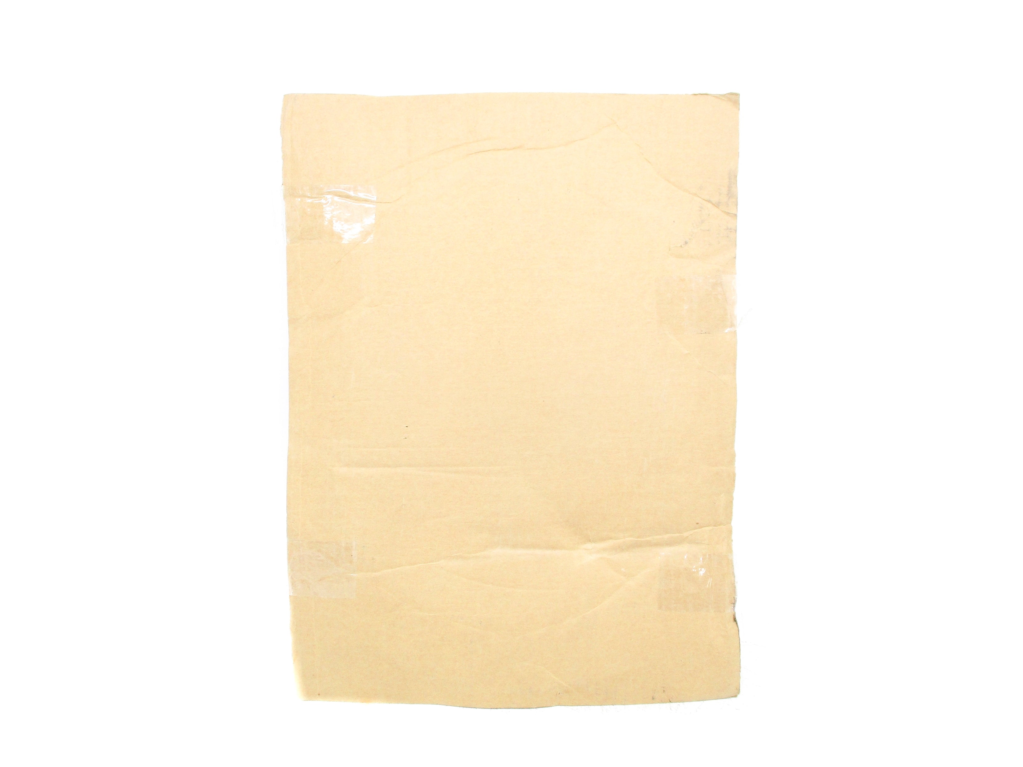 GARDNER DENVER 00245271 (PKG OF 2) NSMP
