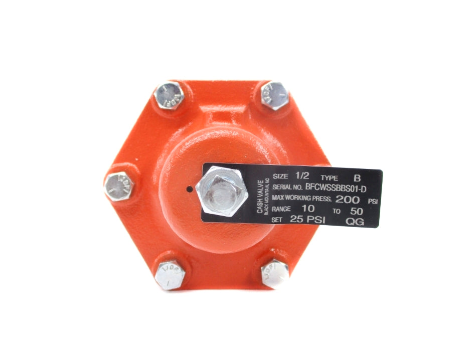 CASH VALVE TYPE B 200PSI 1/2" NSNP