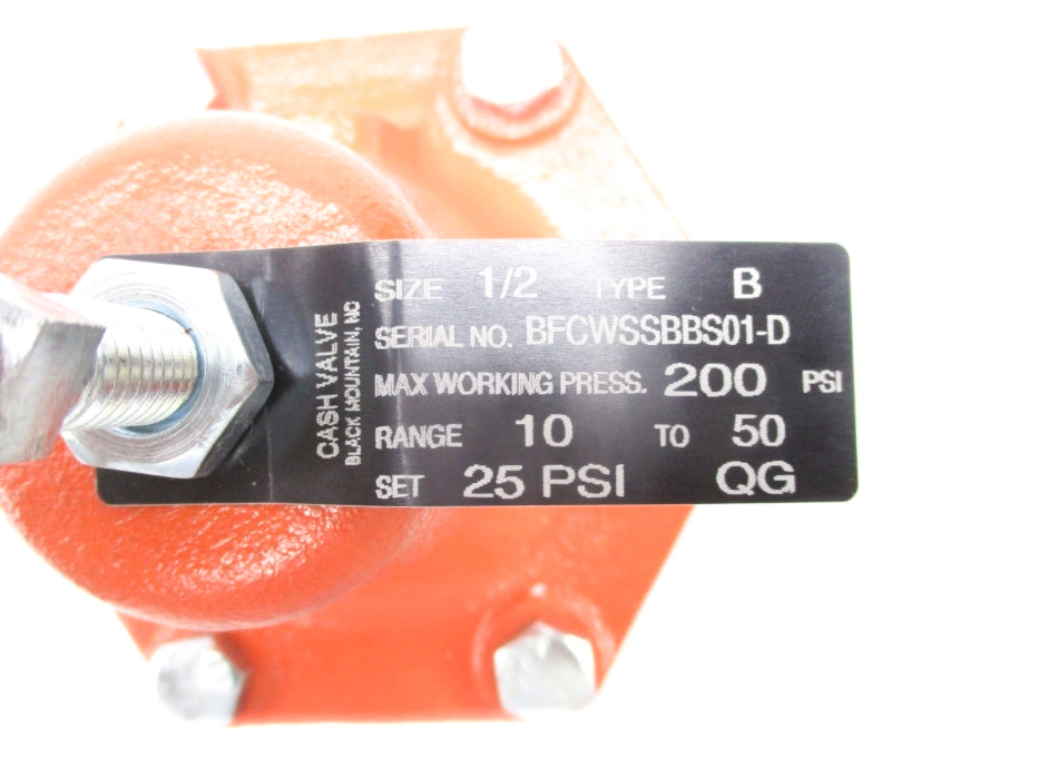 CASH VALVE TYPE B 200PSI 1/2" NSNP