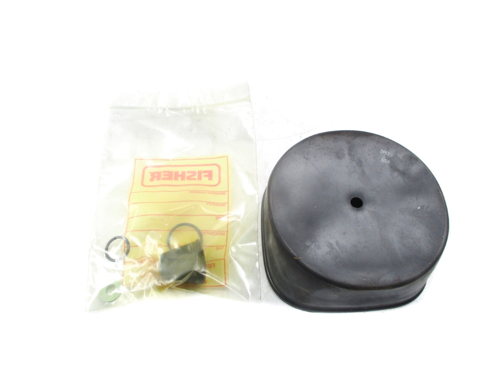 FISHER CONTROLS R513X000012 NSMP
