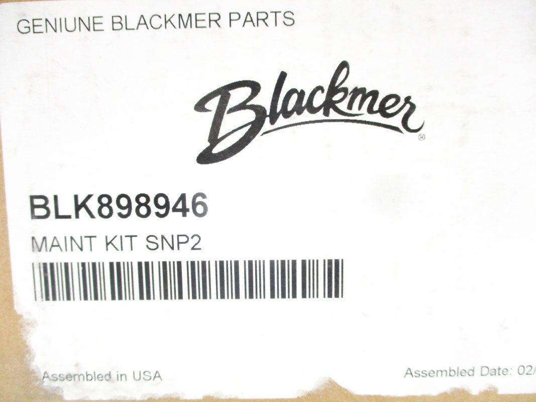 BLACKMER SNP2 NSFS