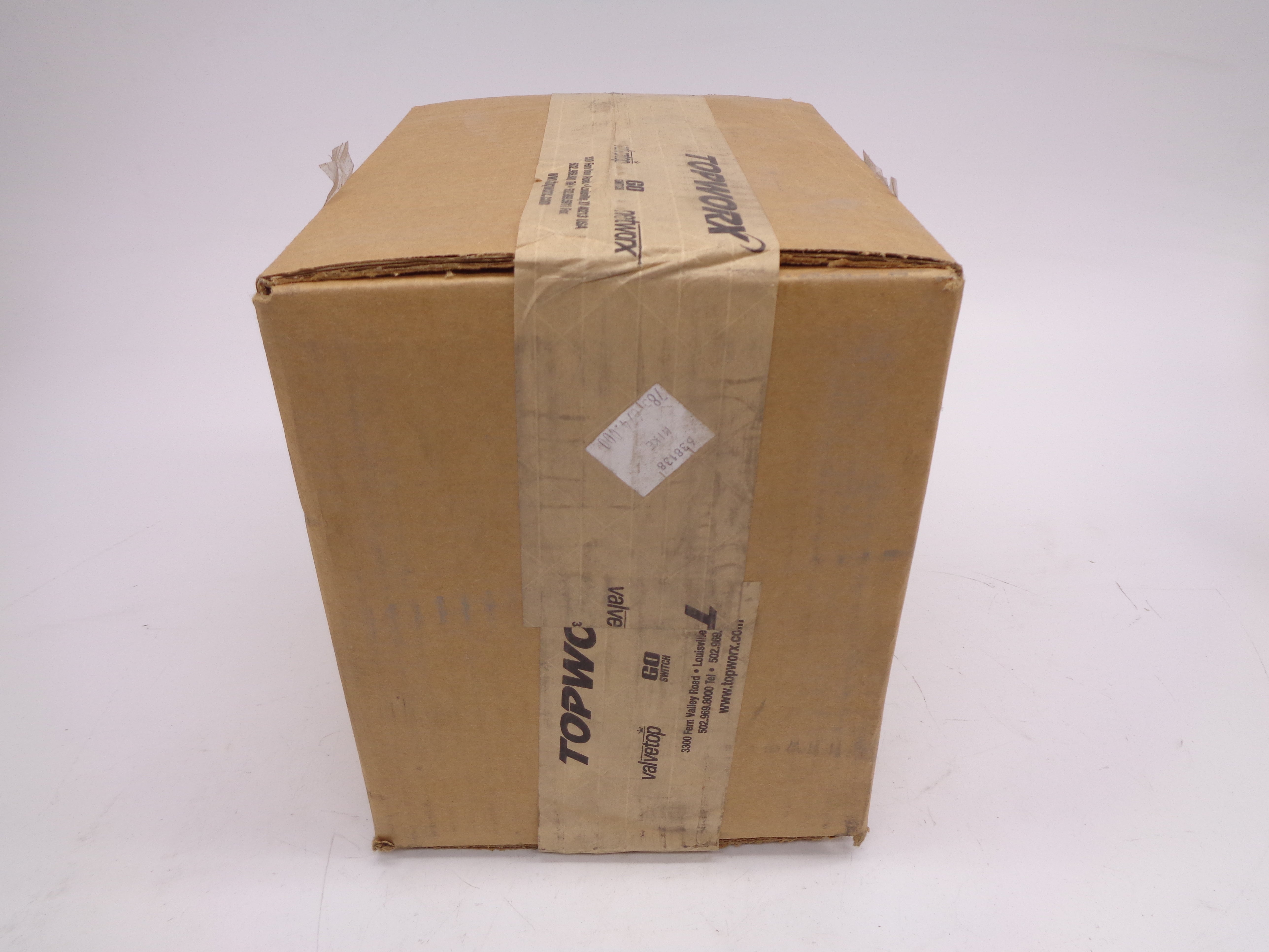 TOPWORX DXP-L21GNEB NSFS