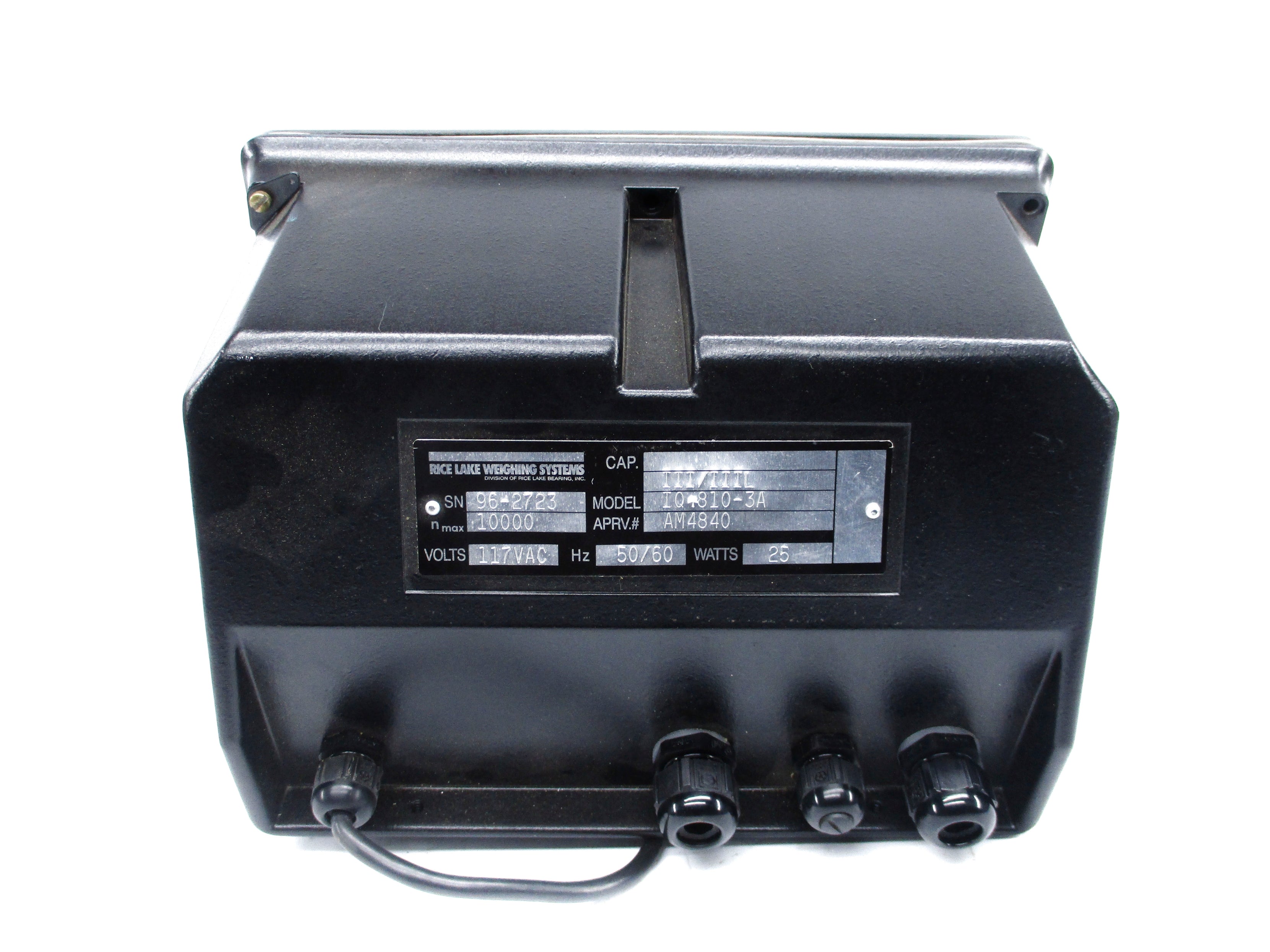 RICE LAKE IQ+810-3A UNMP