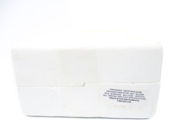 YOKOGAWA 180187HXL2AGM 0-300GPM NSMP