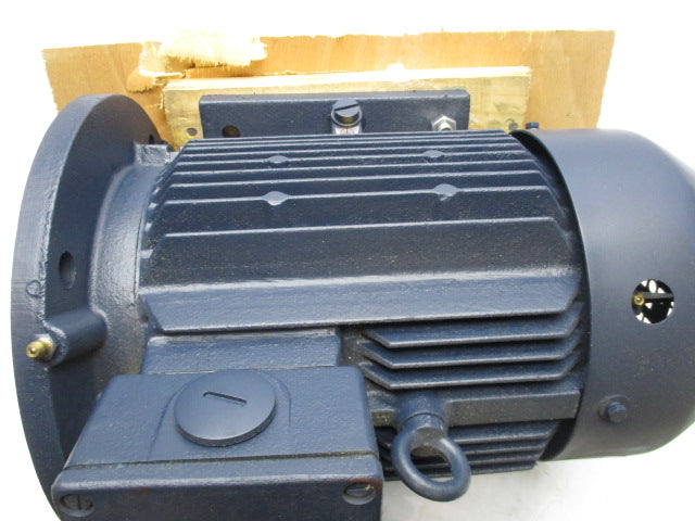 LEESON C100T17FZ3C (193085.60) NSNP