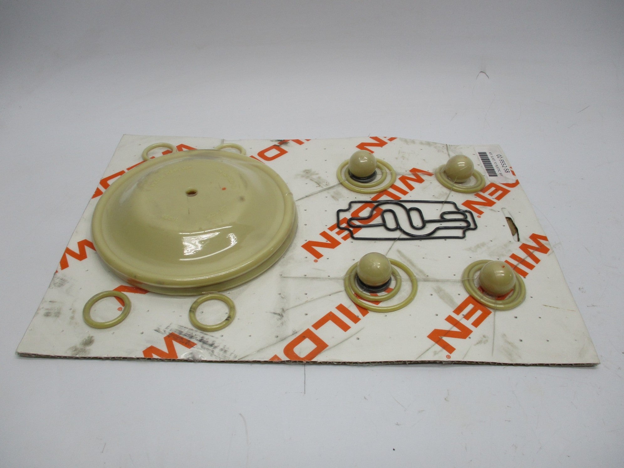 WILDEN 02-9552-58 NSFS