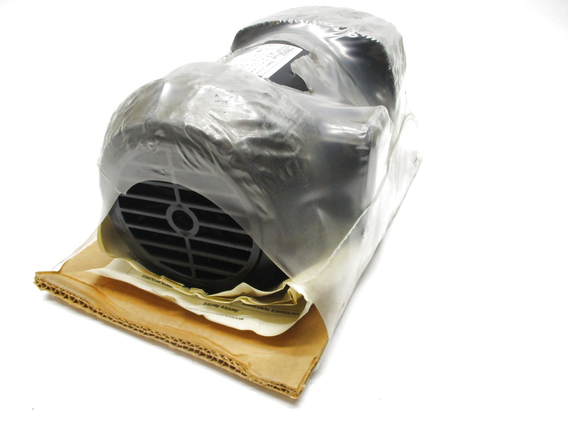 DAYTON 4Z386 P55RR428 NSNP