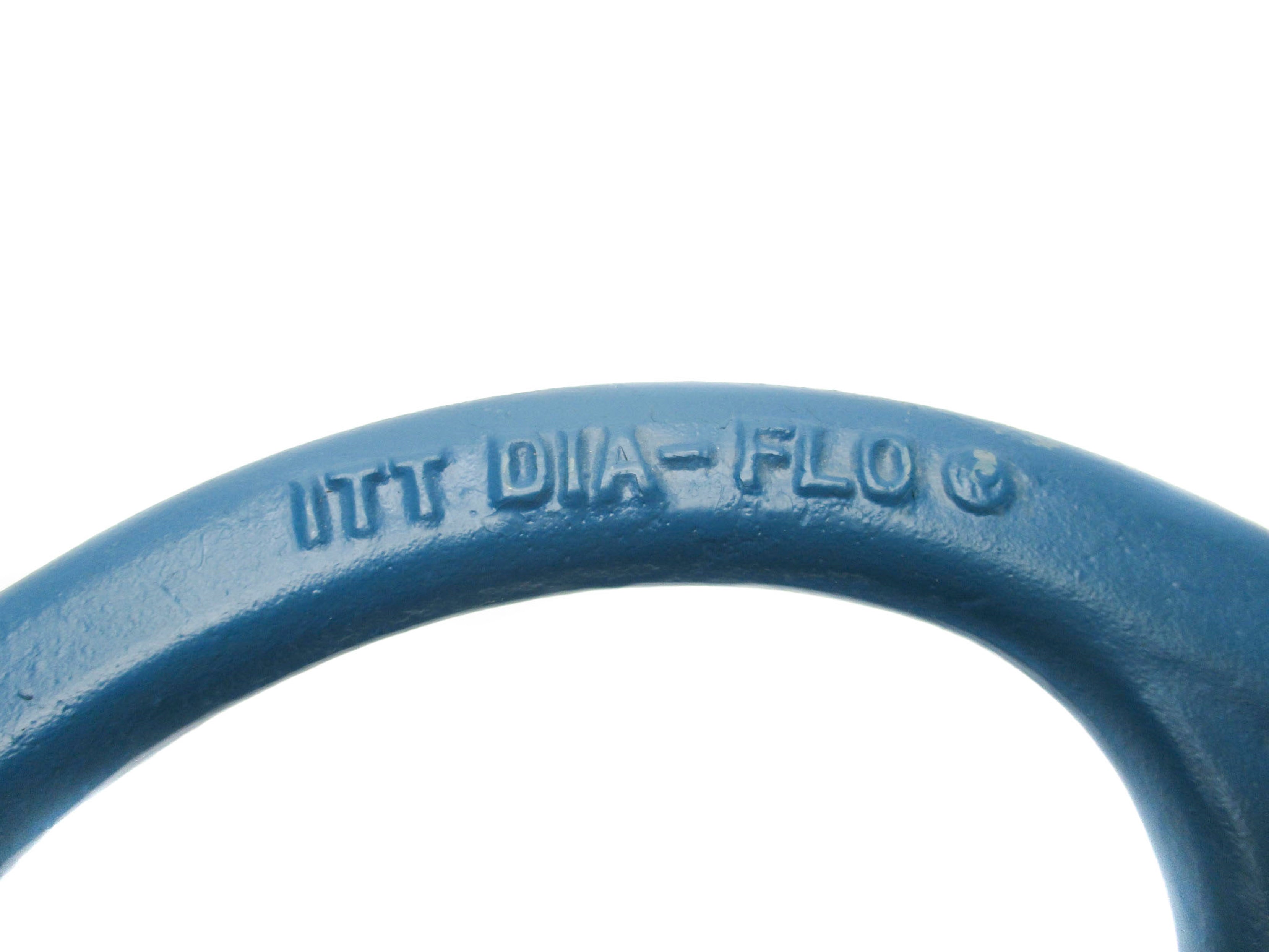 ITT DIA-FLO 303-2019F 4" NSNP