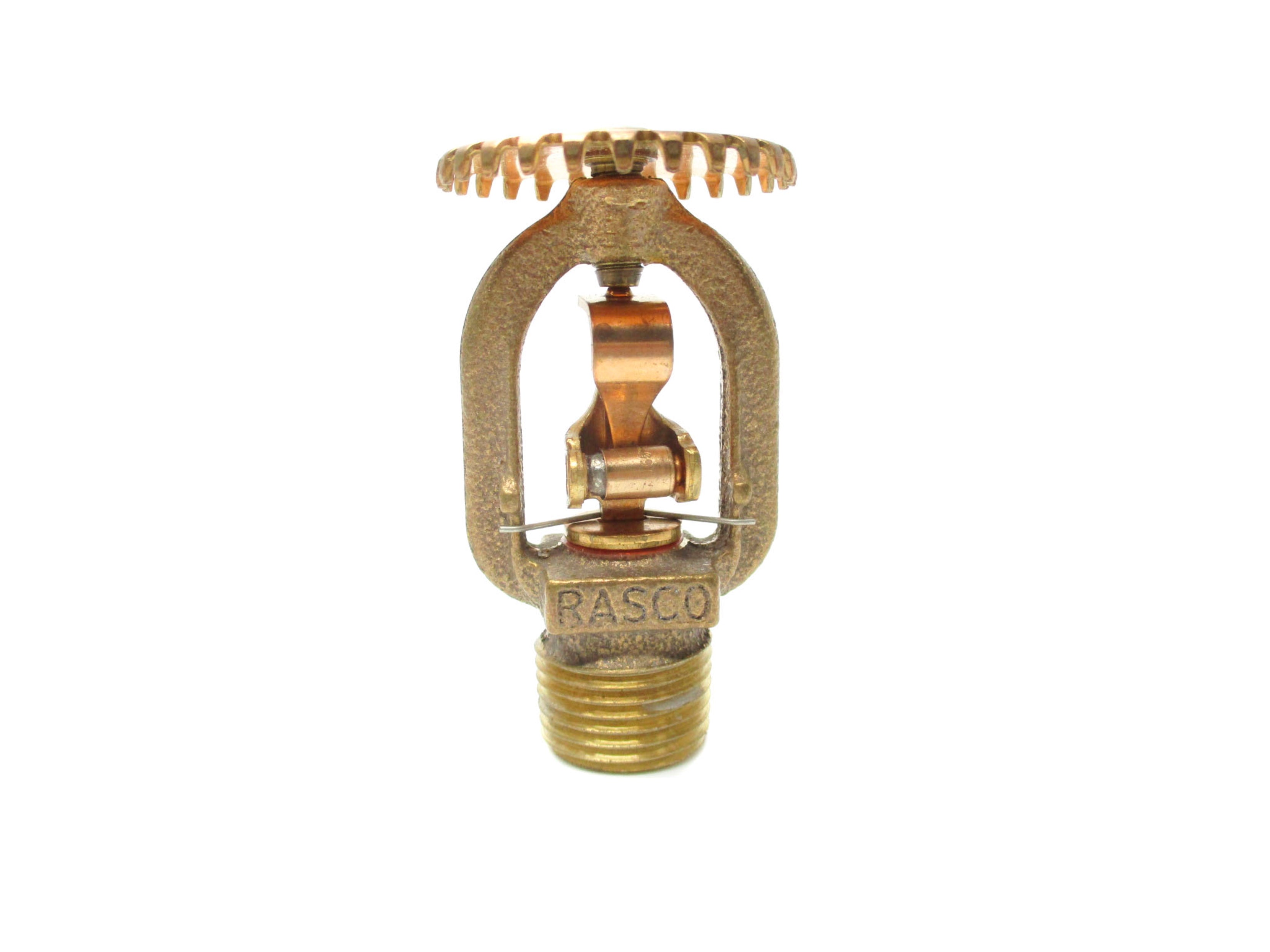 RASCO SSU D1 NSNP