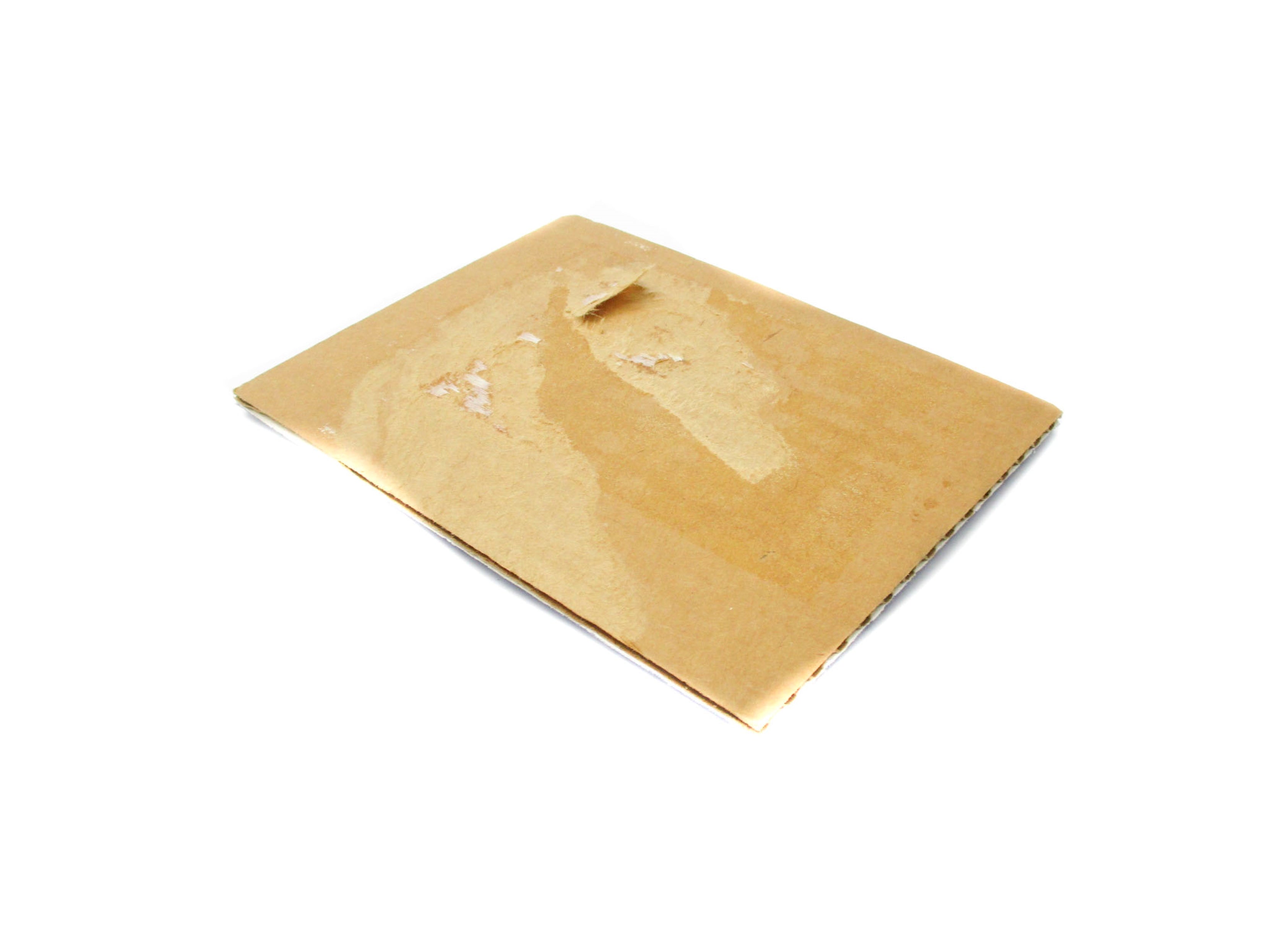 ZOLTEK S042866 NSFS