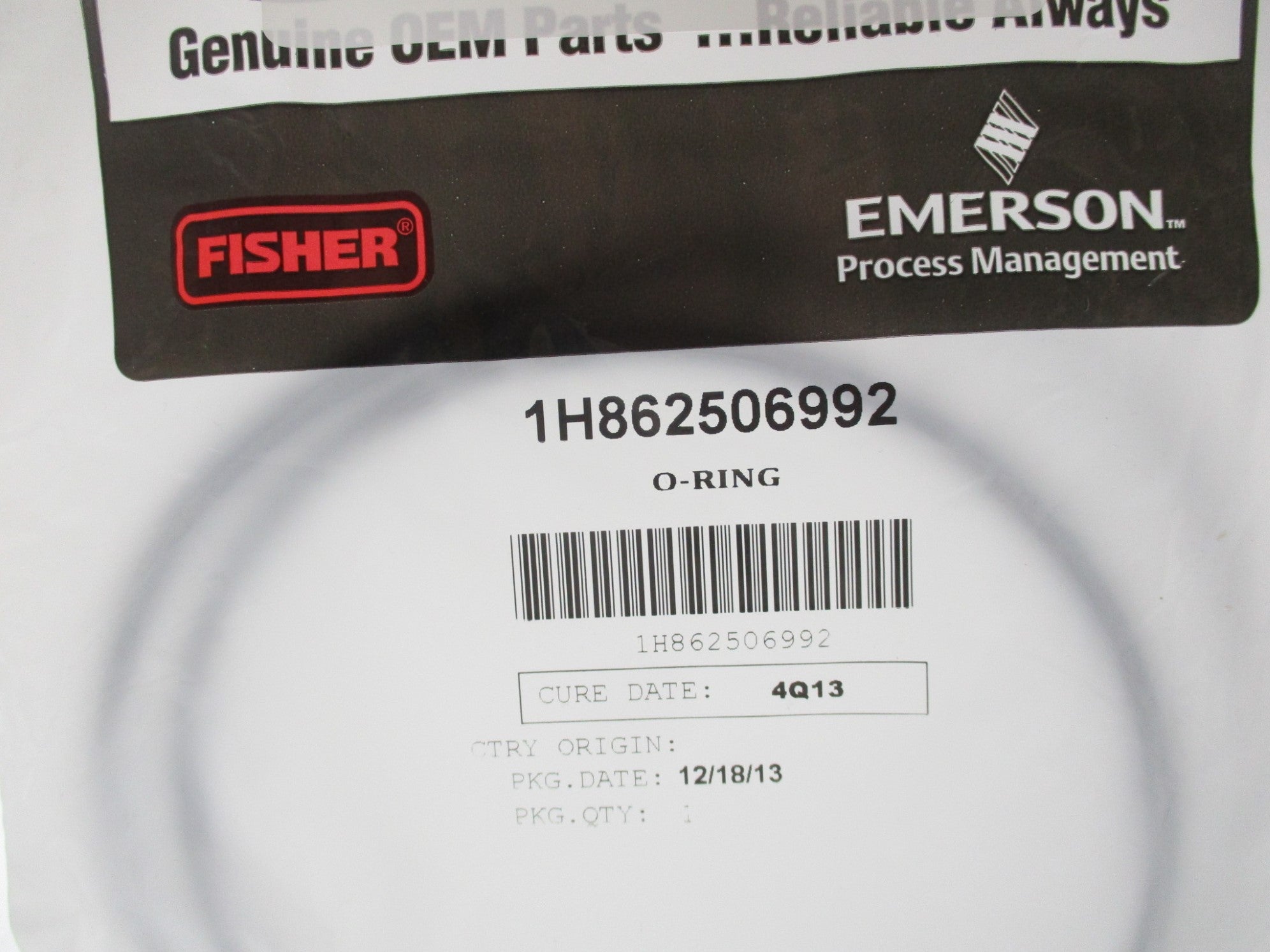 FISHER 1H862506992 NSMP