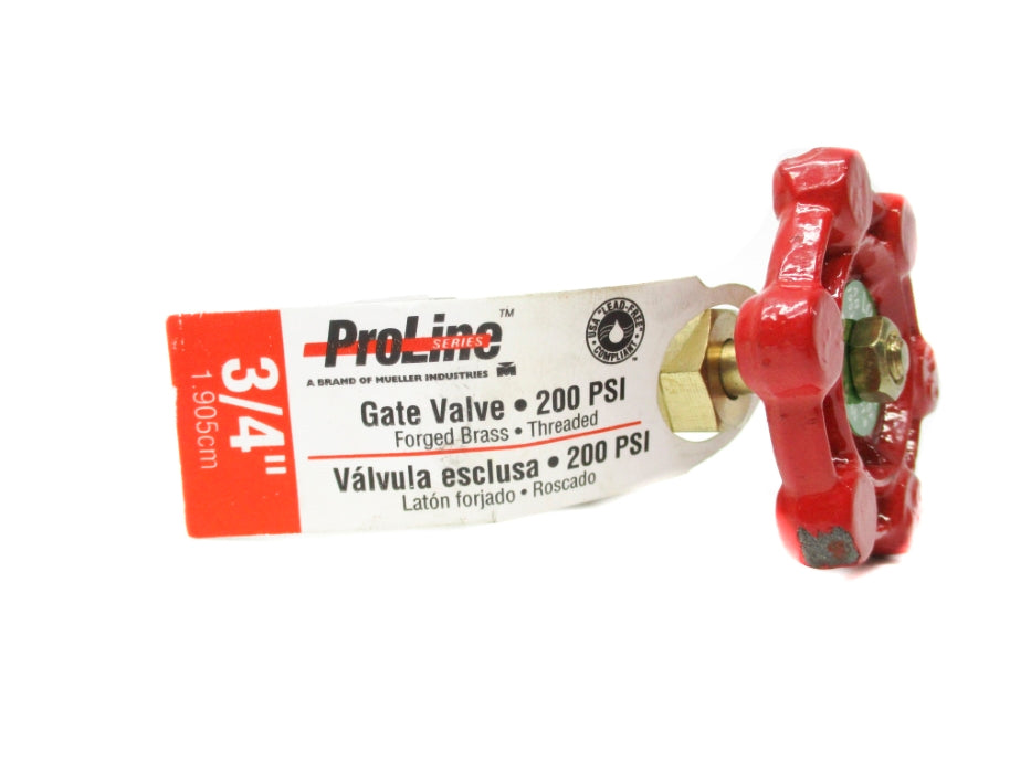 PROLINE AB1953 3/4" 200PSI NSNP