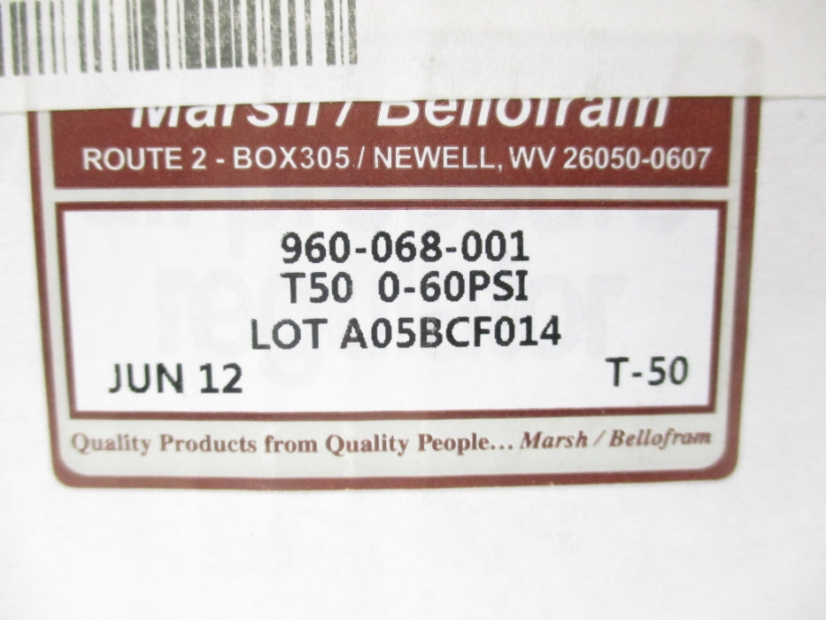 BELLOFRAM 960-068-001 250PSI NSMP