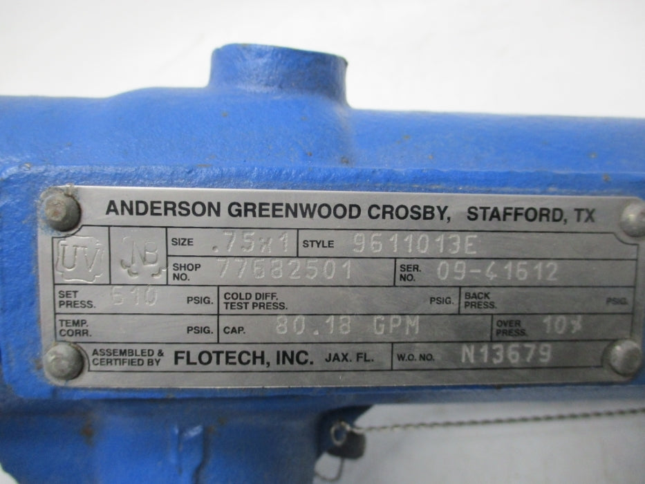 ANDERSON GREENWOOD 6911013E 610PSI NSNP