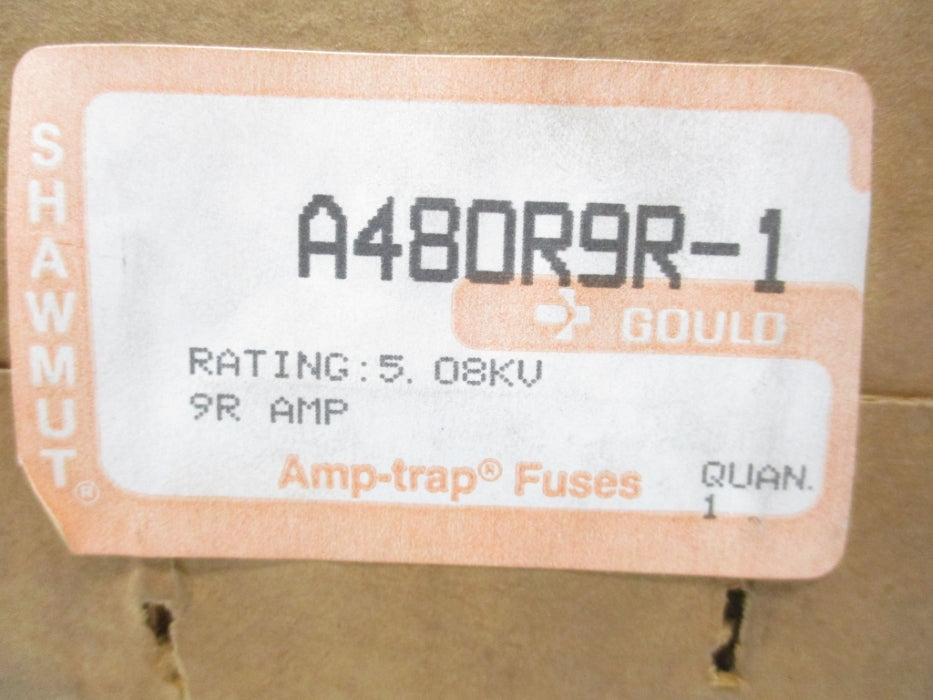 GOULD SHAWMUT A480R6R-1 5.08KV 9RA NSMP