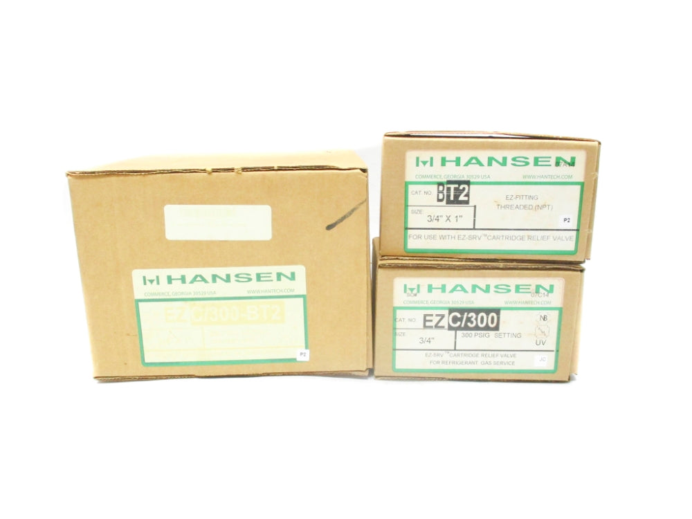 HANSEN EZC/300-BT2 300PSI NSMP