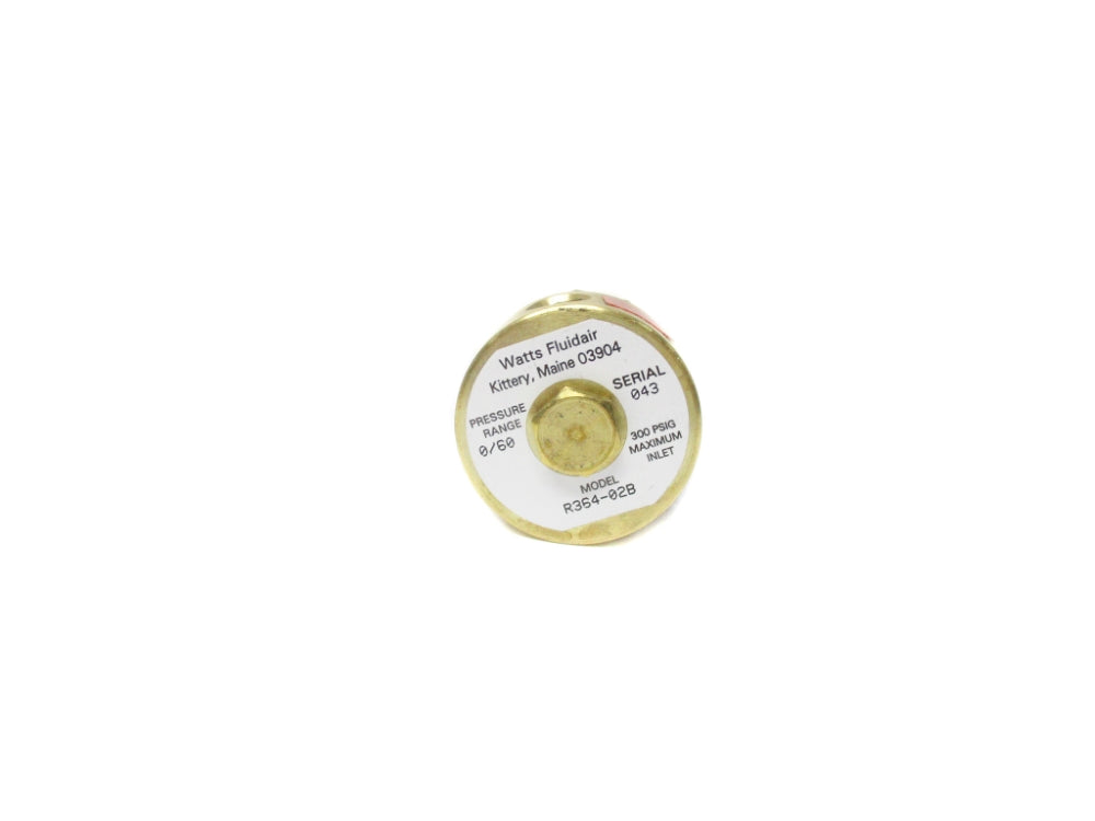 WATTS FLUIDAIR R364-02B 300PSIG NSNP