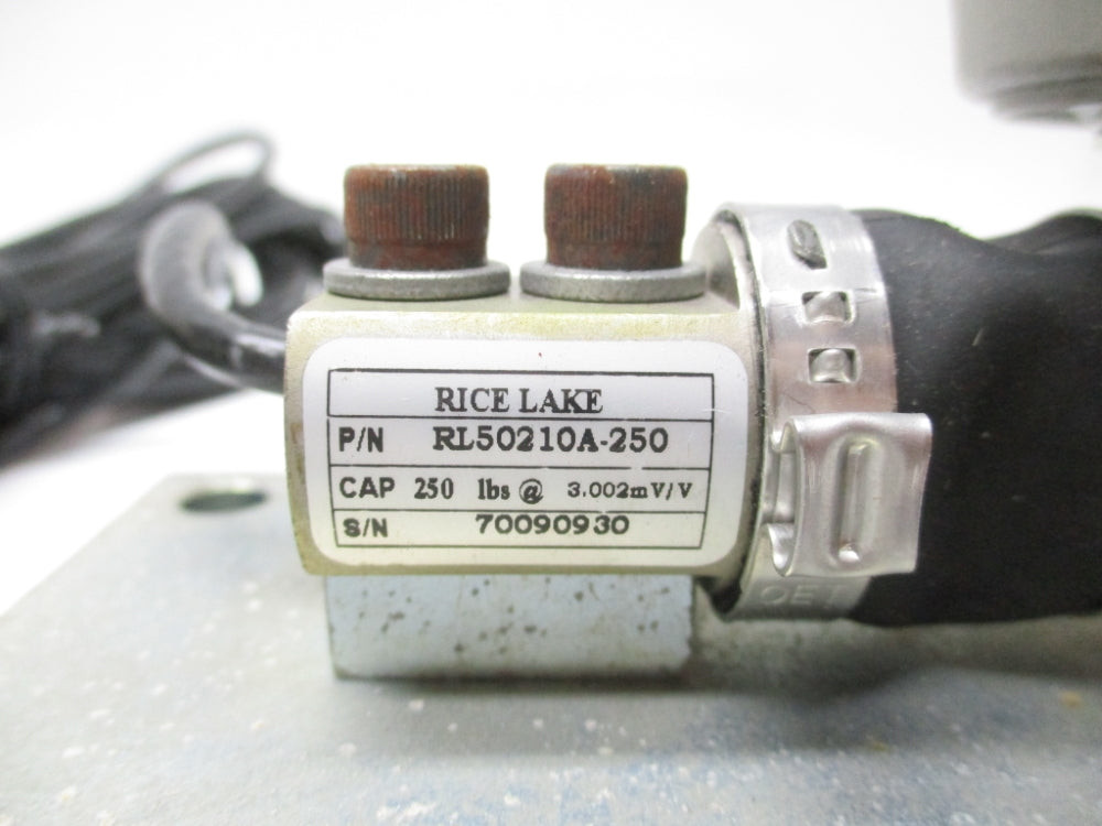 RICE LAKE RL50210A-250 NSNP